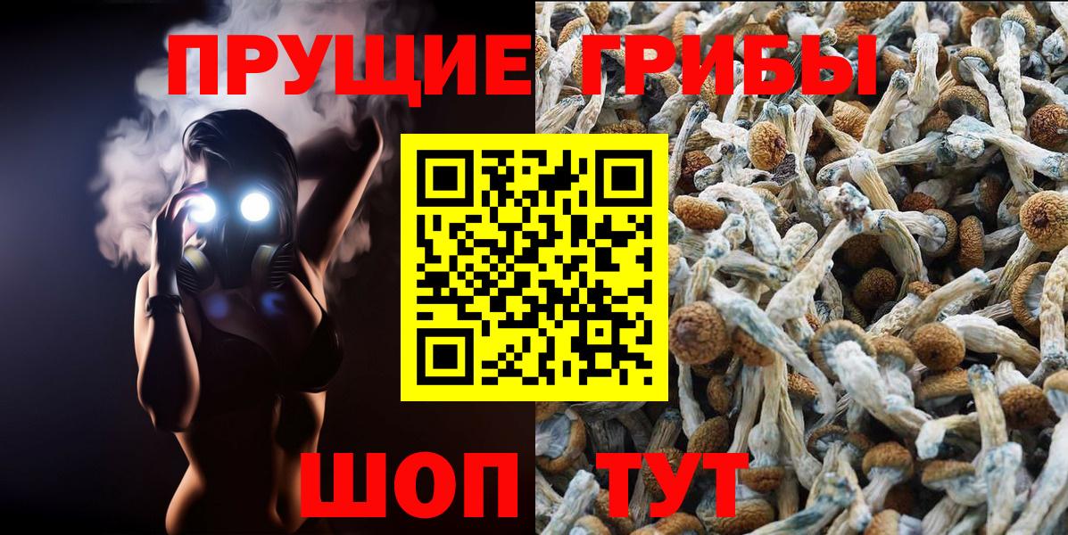 Галлюциногенные грибы мицелий  Вход с VPN  цена   Красноярск  Галлюциногенные грибы GOLDEN TEACHER 