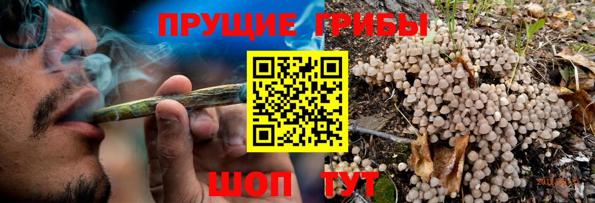 Галлюциногенные грибы мицелий Красноярск